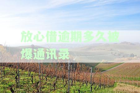 放心借逾期多久被爆通讯录