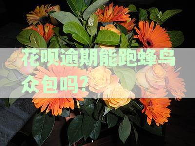 饿了么使用花呗逾期支付的影响及解决方案