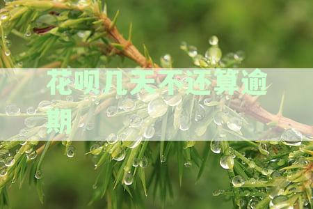 花呗逾期还款后果及解决办法，让你了解逾期几天的影响和应对措