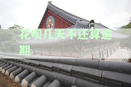 花呗几天不还会上征信吗？怎么办？后果是什么？