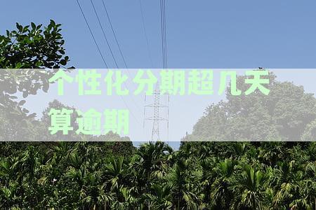 分期还款逾期判断：个性化方案是否影响信用记录？