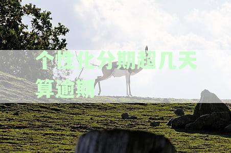 个性化分期有宽限期吗：规定、必要性与期数解析