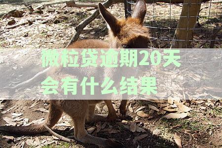 微粒贷逾期25天：是否会对征信产生重大影响？