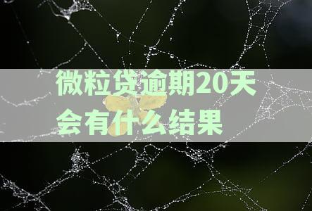 微粒贷逾期200多天还清后，是否可以再次借款？安全吗？