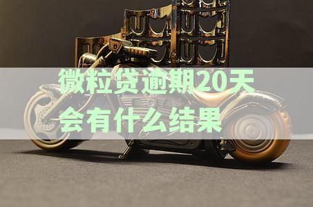 微粒贷逾期20天会有什么结果