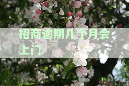 招商逾期多久会给家人打电话催款？