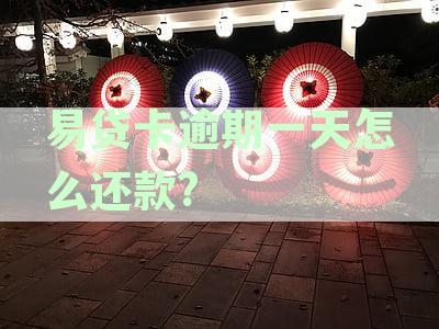 易贷卡逾期一天还款困难，解决方法全解析