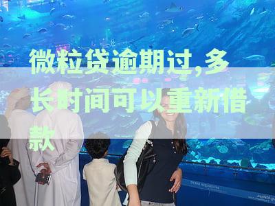 微粒贷逾期几天就不能在借款了怎么办？