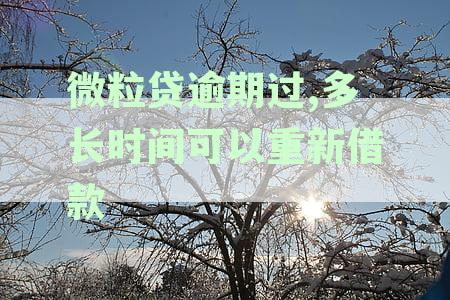 微粒贷逾期过,多长时间可以重新借款