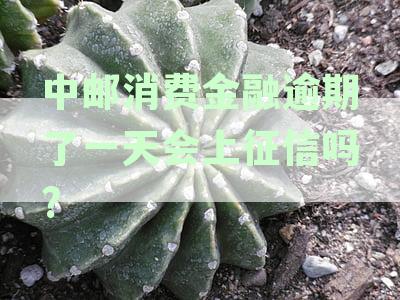 一天内未还消费金融款，是否会导致逾期记录上征信？