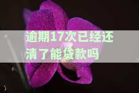 逾期17次后，能否贷款购房？了解详细情况和解决方案