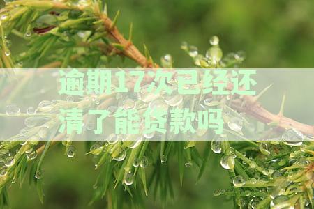 逾期17次已经还清了能贷款吗