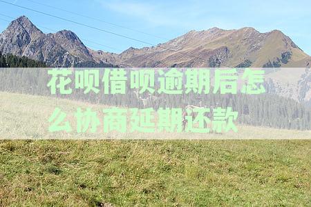 花呗逾期后的有效协商还款策略