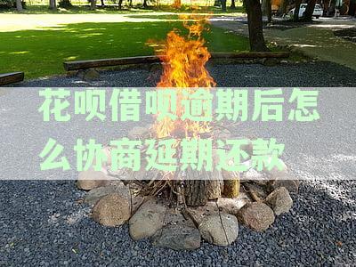 花呗和借呗：逾期还款的解决方案以及如何申请期