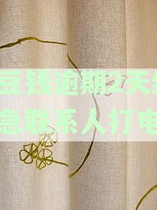 豆豆钱逾期第三天就会打电话给联系人吗？