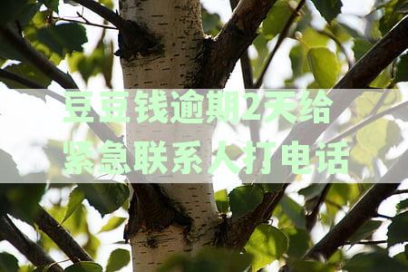 豆豆钱逾期2天给紧急联系人打电话
