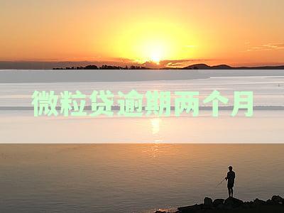 微粒贷逾期两个月还清后，信用记录是否受到影响及如何重新使用？