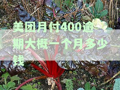 美团月付400逾期一个月利息：大概是多少？