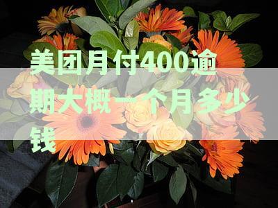 美团月付逾期一天的罚款及相关资讯解析