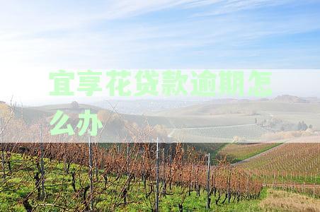 信用卡逾期金额达到多少才会被立案起诉？了解立案标准与后果