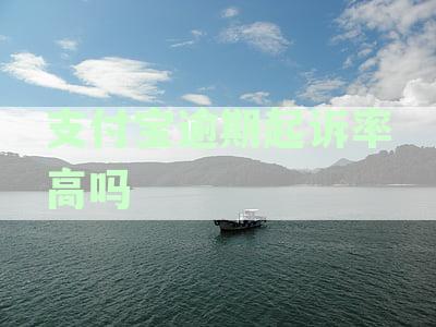 支付宝逾期未还款的法律后果及应对策略：诉讼、判决及如何避免？