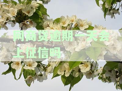 网商贷逾期一天的信用影响及还款攻略：有奖问答活动揭秘