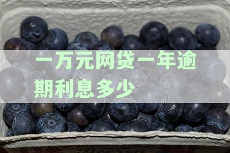 网贷逾期一年，1万元利息计算方式及资讯汇总