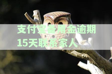 支付宝备用金逾期多少天会给你的家人朋友打电话？