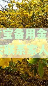 支付宝备用金逾期15天联系家人