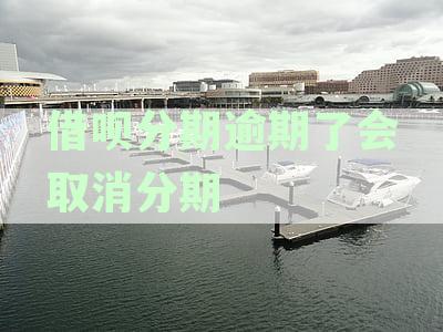 借呗逾期分期还款会关闭吗？全部款是否需要一次性还清？