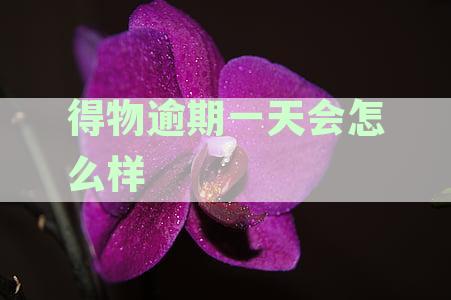 得物逾期一天会怎么样