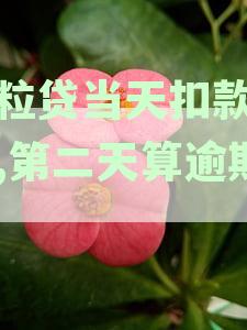 微粒贷当天扣款失败，第二天什么时候再扣款成功？
