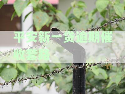 平安新一贷逾期催收套路