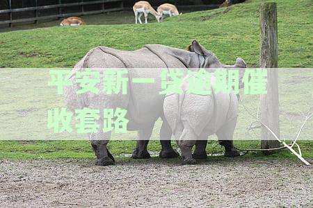 关于平安新一贷逾期催收的全面解答：逾期多久会被催收？如何应对逾期催收？