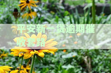 平安新一贷逾期催收套路