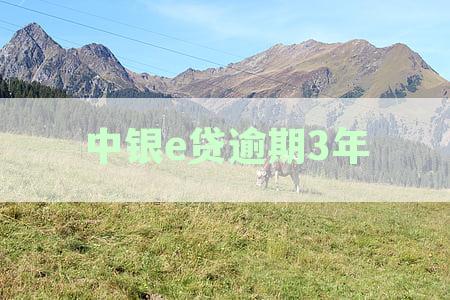 中银e贷逾期3年8万：银行处理方式分析及可能后果