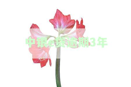 中银e贷逾期两年：原因、解决办法和可能的影响全解析