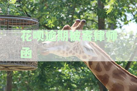 花呗逾期被寄律师函
