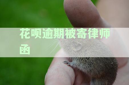 花呗逾期被寄律师函