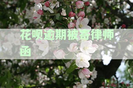 花呗逾期后寄律师函的真实性及预期送达时间探讨