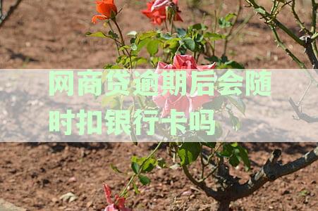 网商贷逾期不还会扣其它银行卡的钱吗？安全吗？怎么办？