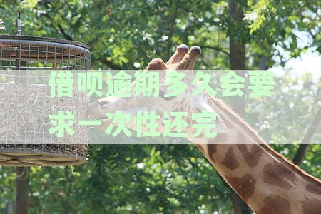 逾期多久会被列入失信人名单：网贷、信用卡及征信黑名单影响情况解析