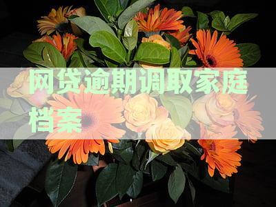 网贷逾期调取家庭档案影响：处理建议与潜在后果