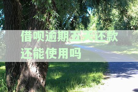 借呗逾期五天还款还能使用吗