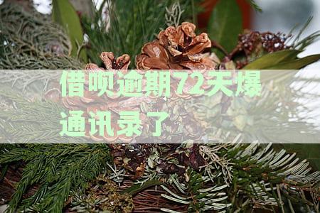 蚂蚁借呗逾期后果：会联系通讯录吗？还会产生什么额外费用？如何避免逾期？
