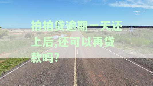 拍拍贷逾期一天还上后，还可以再贷款吗？