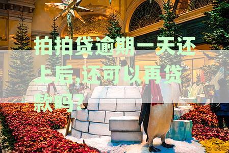 拍拍贷逾期一天的后果及解决办法，用户必看！