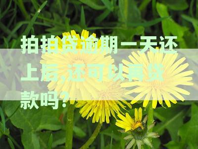 拍拍贷逾期一天还上后,还可以再贷款吗?