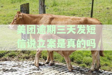 美团逾期三天发短信说立案：真的还是误导？安全警示全解析