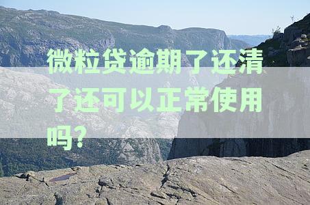 逾期后成功还清微粒贷，再次借款是否可行？